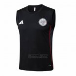 Camiseta de Entrenamiento Ajax Sin Mangas 2025-2026 Negro