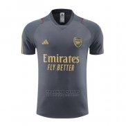Camiseta de Entrenamiento Arsenal 2023-2024 Gris