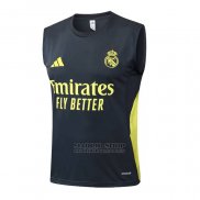 Camiseta de Entrenamiento Real Madrid Sin Mangas 2025-2026 Gris