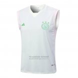 Camiseta de Entrenamiento Ajax Sin Mangas 2023-2024 Verde