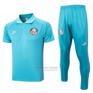 Conjunto Polo del Palmeiras 2023-2024 Verde