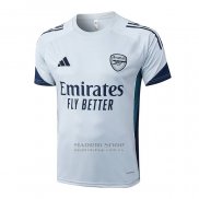 Camiseta de Entrenamiento Arsenal 2025-2026 Gris