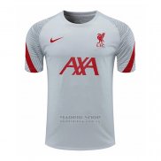 Entrenamiento Liverpool 2020-21 Gris