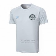 Camiseta de Entrenamiento Palmeiras 2023-2024 Gris