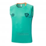 Camiseta de Entrenamiento Fluminense Sin Mangas 2025-2026 Verde