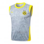 Camiseta de Entrenamiento Borussia Dortmund Sin Mangas 2025-2026 Gris