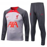 Chandal de Sudadera del Liverpool 2022-2023 Gris