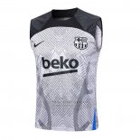 Camiseta de Entrenamiento Barcelona Sin Mangas 2024-2025 Gris