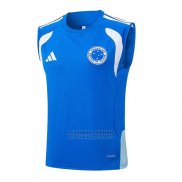 Camiseta de Entrenamiento Cruzeiro Sin Mangas 2025-2026 Azul