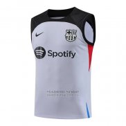 Camiseta de Entrenamiento Barcelona Sin Mangas 2023-2024 Gris