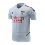 Camiseta de Entrenamiento Lyon 2022-2023 Gris