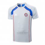Camiseta de Entrenamiento Bayern Munich 2025-2026 Gris