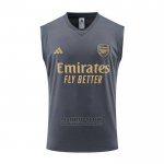 Camiseta de Entrenamiento Arsenal Sin Mangas 2023-2024 Gris