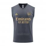 Camiseta de Entrenamiento Arsenal Sin Mangas 2023-2024 Gris