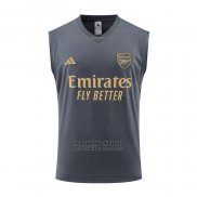 Camiseta de Entrenamiento Arsenal Sin Mangas 2023-2024 Gris