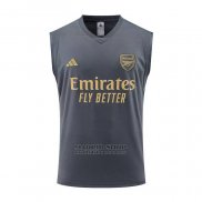 Camiseta de Entrenamiento Arsenal Sin Mangas 2023-2024 Gris