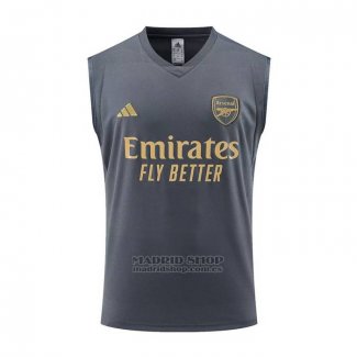 Camiseta de Entrenamiento Arsenal Sin Mangas 2023-2024 Gris
