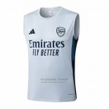 Camiseta de Entrenamiento Arsenal Sin Mangas 2025-2026 Gris