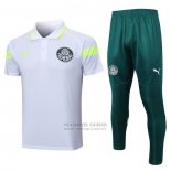 Conjunto Polo del Palmeiras 2023-2024 Gris