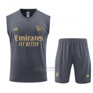 Chandal del Arsenal Sin Mangas 2023-2024 Gris